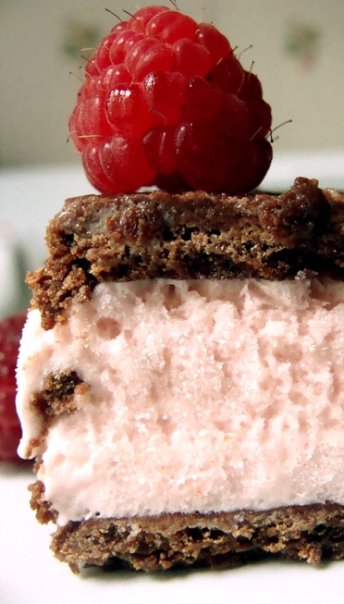 Raspberry ice cream sandwich!